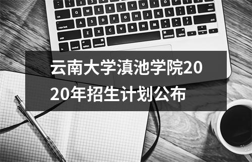 云南大学滇池学院2020年招生计划公布