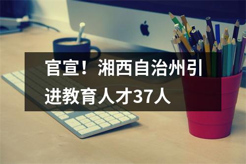 官宣!湘西自治州引进教育人才37人