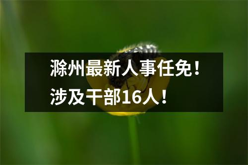 滁州最新人事任免!涉及干部16人!