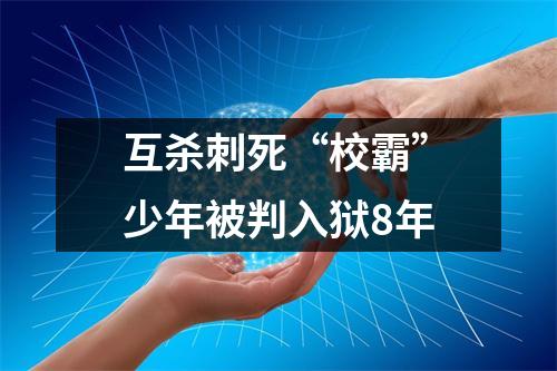 互杀刺死“校霸”少年被判入狱8年