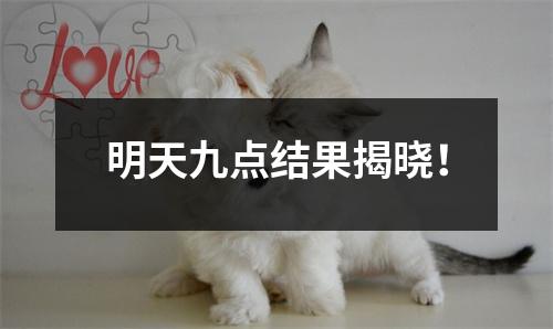 明天九点结果揭晓!