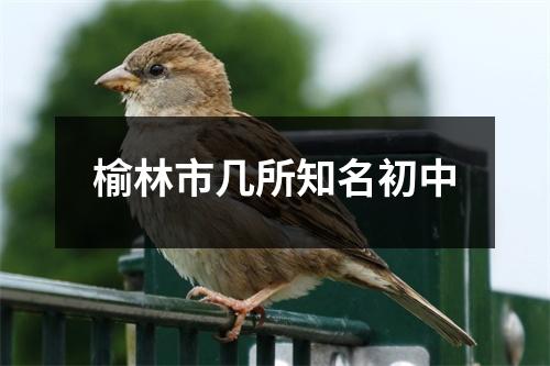 榆林市几所知名初中