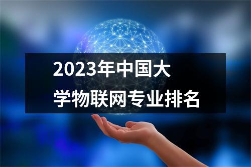 2023年中国大学物联网专业排名
