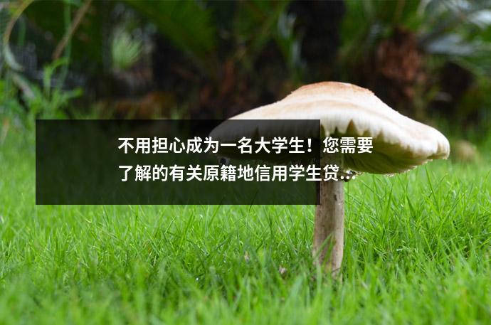 不用担心成为一名大学生!您需要了解的有关原籍地信用学生贷款的信息