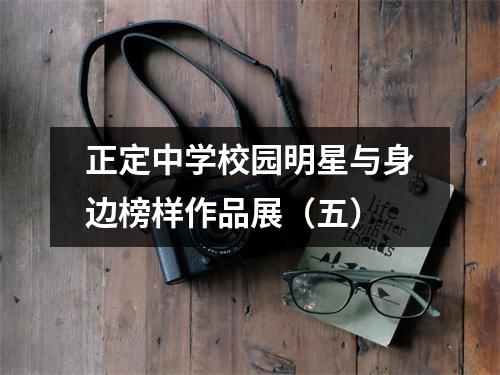 正定中学校园明星与身边榜样作品展(五)