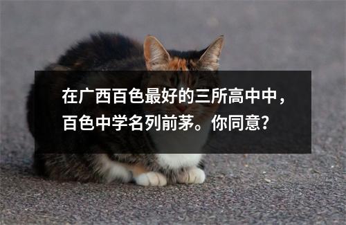 在广西百色最好的三所高中中,百色中学名列前茅。你同意?