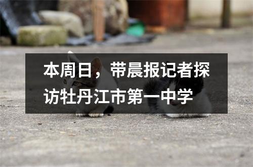 本周日,带晨报记者探访牡丹江市第一中学