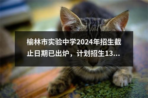 榆林市实验中学2024年招生截止日期已出炉,计划招生1392人。