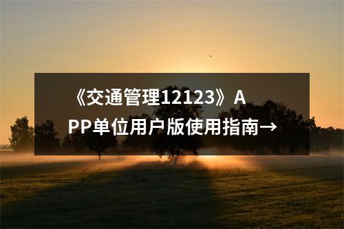 《交通管理12123》APP单位用户版使用指南→