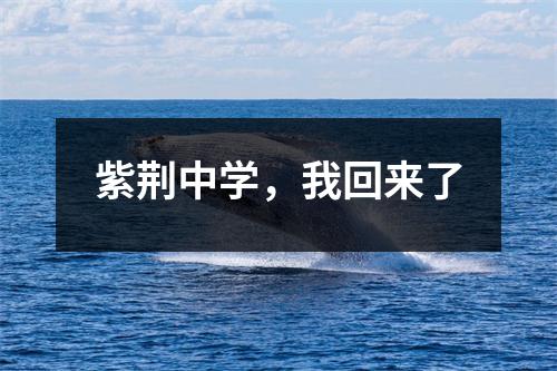 紫荆中学，我回来了