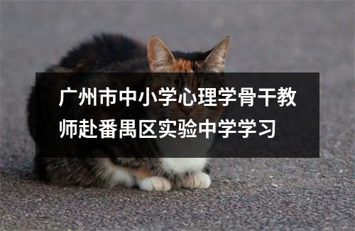 广州市中小学心理学骨干教师赴番禺区实验中学学习