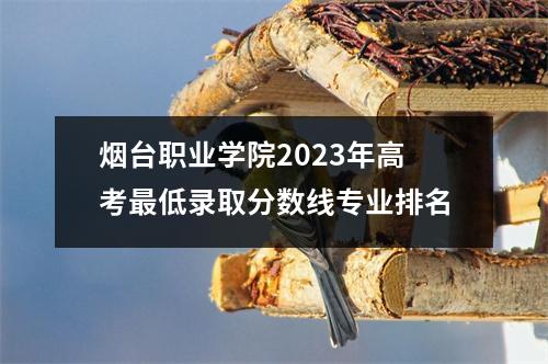 烟台职业学院2023年高考最低录取分数线专业排名
