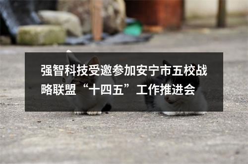 强智科技受邀参加安宁市五校战略联盟“十四五”工作推进会