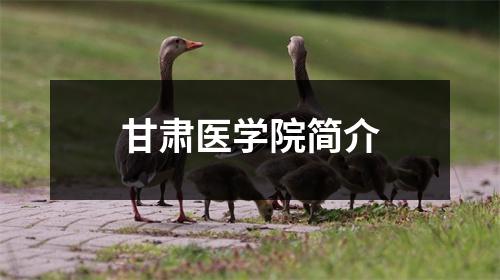 甘肃医学院简介
