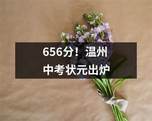 656分!温州中考状元出炉