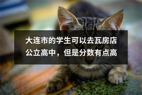 大连市的学生可以去瓦房店公立高中,但是分数有点高