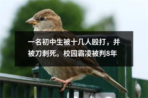 一名初中生被十几人殴打,并被刀刺死。校园霸凌被判8年