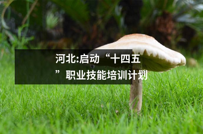 河北:启动“十四五”职业技能培训计划