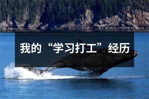 我的“学习打工”经历
