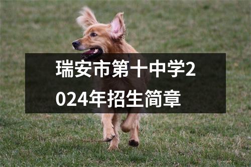 瑞安市第十中学2024年招生简章