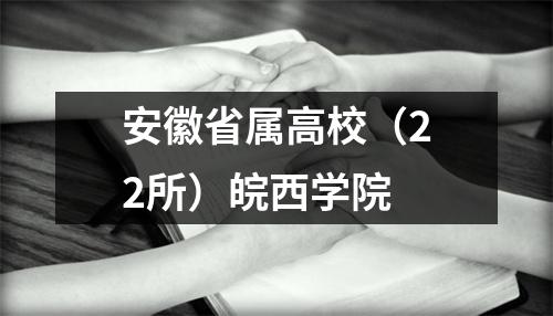 安徽省属高校(22所)皖西学院