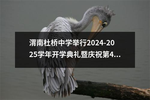 渭南杜桥中学举行2024-2025学年开学典礼暨庆祝第40个教师节