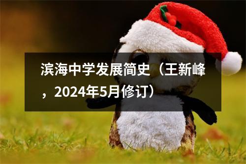 滨海中学发展简史(王新峰,2024年5月修订)