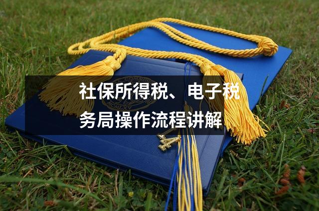 社保所得税、电子税务局操作流程讲解