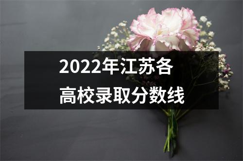 2022年江苏各高校录取分数线
