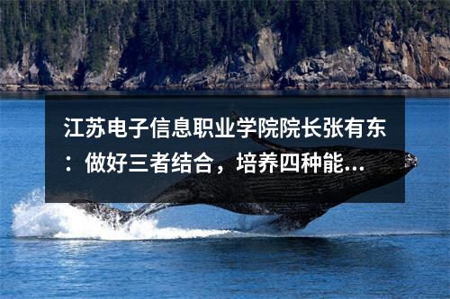 江苏电子信息职业学院院长张有东:做好三者结合,培养四种能力,实现“德、智、体、艺、工”全面发展