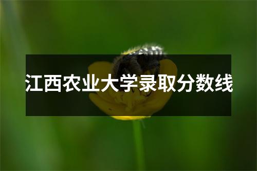 江西农业大学录取分数线