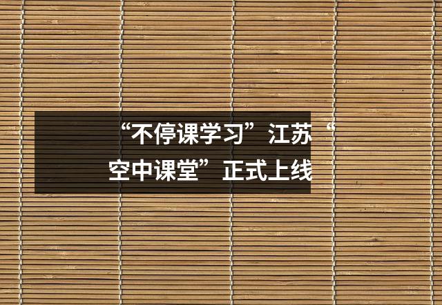 “不停课学习”江苏“空中课堂”正式上线