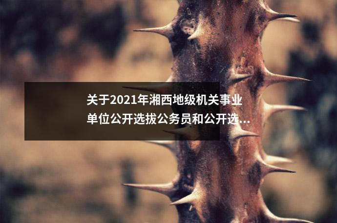 关于2021年湘西地级机关事业单位公开选拔公务员和公开选调事业单位工作人员的公告