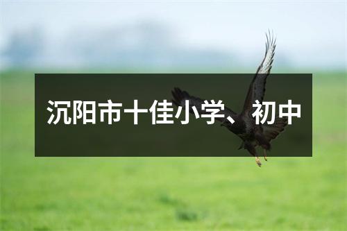 沉阳市十佳小学、初中