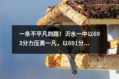 一条不平凡的路!沂水一中以693分力压黄一凡,以691分力压李子凡。