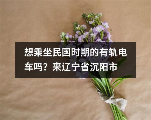想乘坐民国时期的有轨电车吗?来辽宁省沉阳市