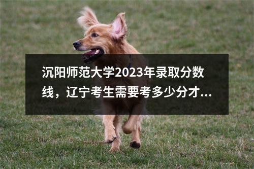 沉阳师范大学2023年录取分数线,辽宁考生需要考多少分才能考上沉阳师范大学?