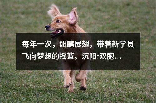 每年一次,鲲鹏展翅,带着新学员飞向梦想的摇篮。沉阳:双胞胎兄弟双双通过空军飞行员训练