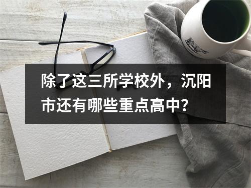 除了这三所学校外,沉阳市还有哪些重点高中?