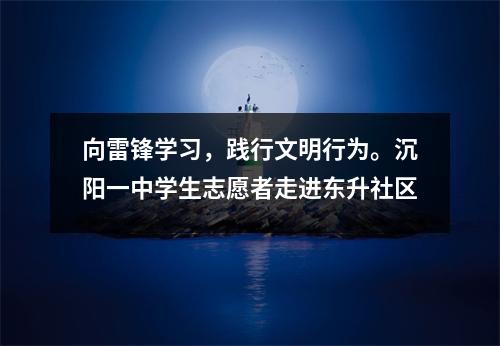 向雷锋学习,践行文明行为。沉阳一中学生志愿者走进东升社区