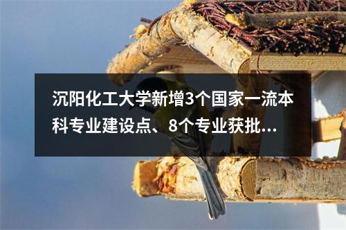 沉阳化工大学新增3个国家一流本科专业建设点、8个专业获批省级一流专业建设点