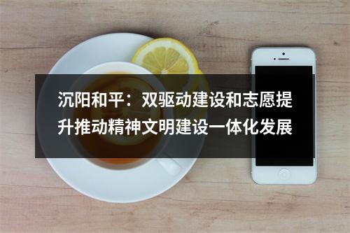 沉阳和平:双驱动建设和志愿提升推动精神文明建设一体化发展