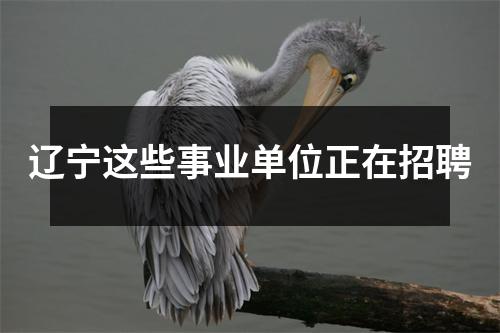 辽宁这些事业单位正在招聘