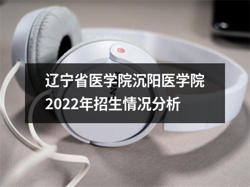 辽宁省医学院沉阳医学院2022年招生情况分析