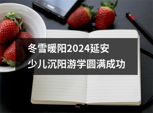 冬雪暖阳2024延安少儿沉阳游学圆满成功