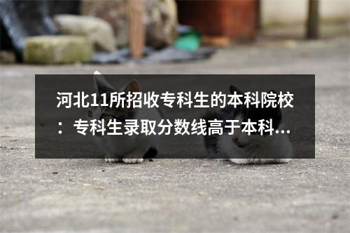 河北11所招收专科生的本科院校:专科生录取分数线高于本科批次录取分数线