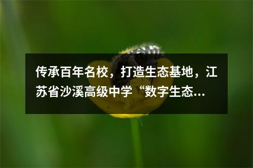 传承百年名校,打造生态基地,江苏省沙溪高级中学“数字生态科普馆”