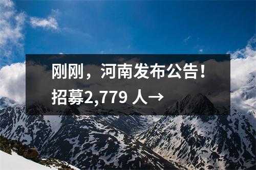 刚刚,河南发布公告!招募2,779 人→
