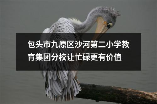 包头市九原区沙河第二小学教育集团分校让忙碌更有价值