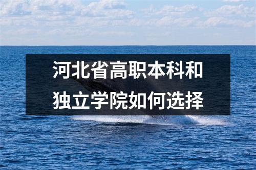 河北省高职本科和独立学院如何选择